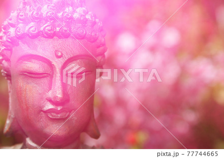 Buddha Statue in Outdoor Garden With Blurred Background Buddha Statue in Outdoor Garden With Blurred Background 77744665