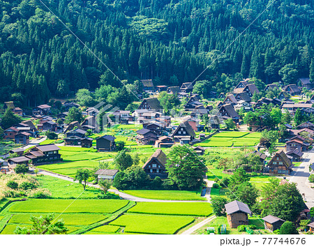 夏の白川郷 夏の白川郷 77744676