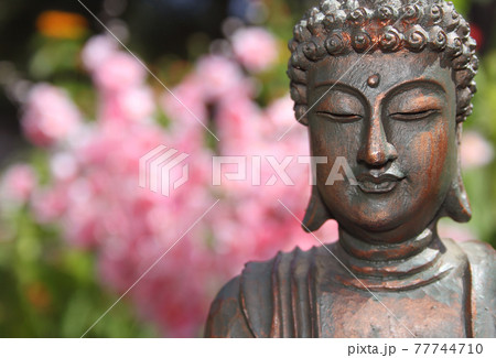 Buddha Statue in Outdoor Garden With Blurred Background Buddha Statue in Outdoor Garden With Blurred Background 77744710