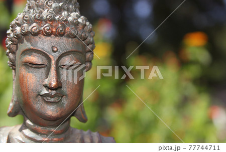 Buddha Statue in Outdoor Garden With Blurred Background Buddha Statue in Outdoor Garden With Blurred Background 77744711