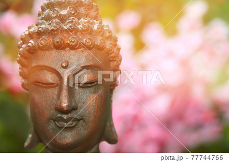 Buddha Statue in Outdoor Garden With Blurred Background 77744766