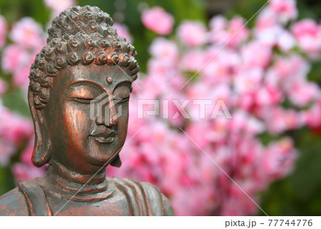 Buddha Statue in Outdoor Garden With Blurred Background 77744776