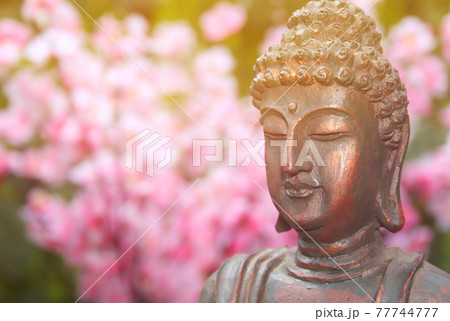 Buddha Statue in Outdoor Garden With Blurred Background Buddha Statue in Outdoor Garden With Blurred Background 77744777