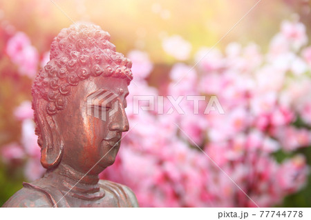 Buddha Statue in Outdoor Garden With Blurred Background Buddha Statue in Outdoor Garden With Blurred Background 77744778