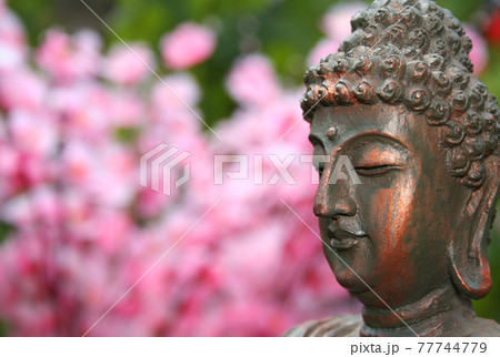 Buddha Statue in Outdoor Garden With Blurred Background 77744779
