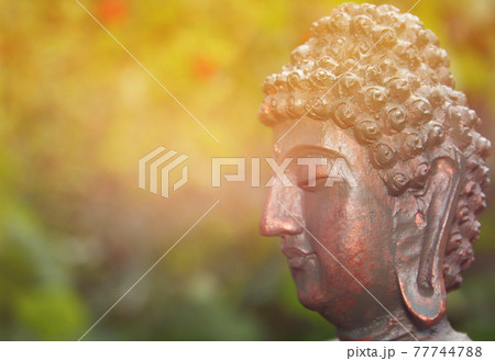 Buddha Statue in Outdoor Garden With Blurred Background Buddha Statue in Outdoor Garden With Blurred Background 77744788