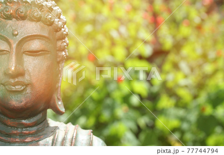 Buddha Statue in Outdoor Garden With Blurred Background Buddha Statue in Outdoor Garden With Blurred Background 77744794