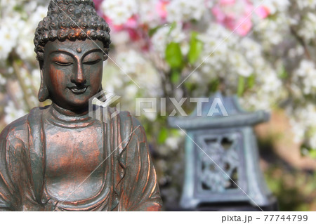 Buddha Statue in Outdoor Garden With Blurred Background Buddha Statue in Outdoor Garden With Blurred Background 77744799