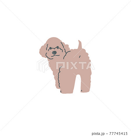 立っている一匹の茶色のトイプードルのイラストのイラスト素材