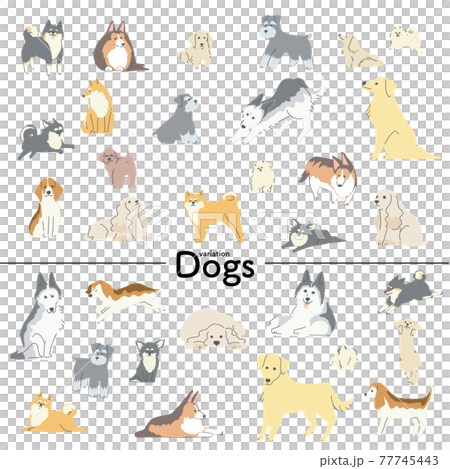 さまざまな表情とポーズの犬たちのイラスト 77745443