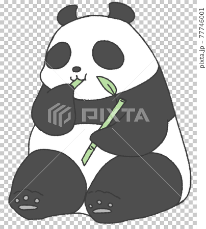 A panda sitting and eating sasa 77746001