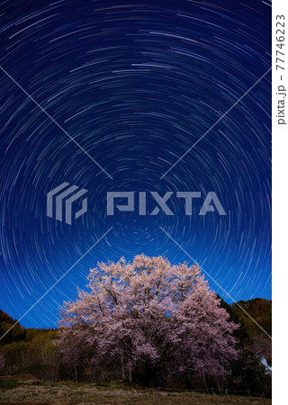 天王桜のスタートレイル　群馬県片品村　尾瀬　絶景撮影スポット 77746223