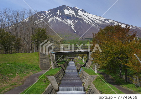 青森県弘前市　岩木山総合公園の川と岩木山 77746659