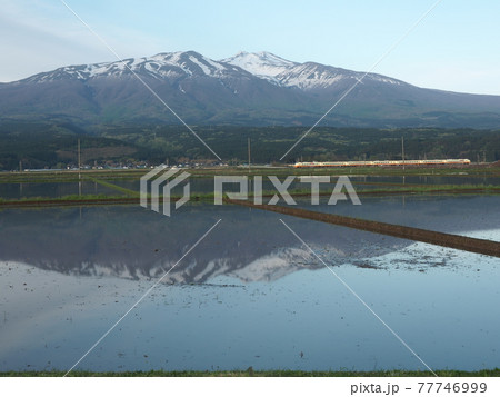 山形県遊佐町の水田（鳥海山と羽越本線） 77746999