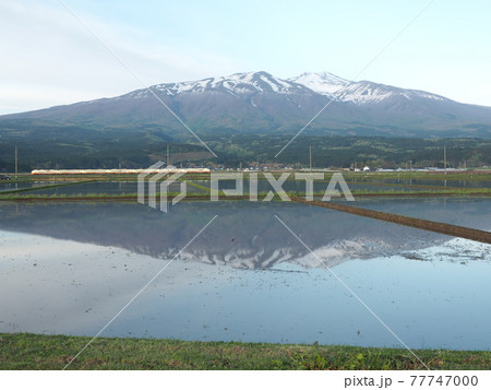 山形県遊佐町の水田(鳥海山と羽越本線) 山形県遊佐町の水田(鳥海山と羽越本線) 77747000