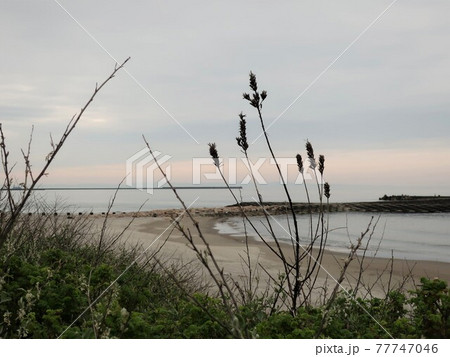海 海岸 風景 海 海岸 風景 77747046