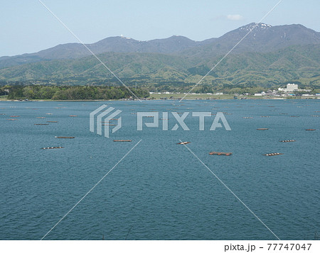 佐渡島、加茂湖から見る残雪の金北山 佐渡島、加茂湖から見る残雪の金北山 77747047