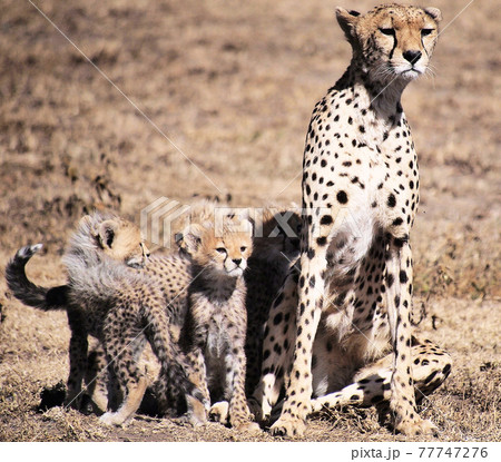 Beautiful places in Tanzania Beautiful places in Tanzania 77747276