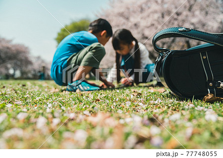 小学生新一年生の放課後 小学生新一年生の放課後 77748055