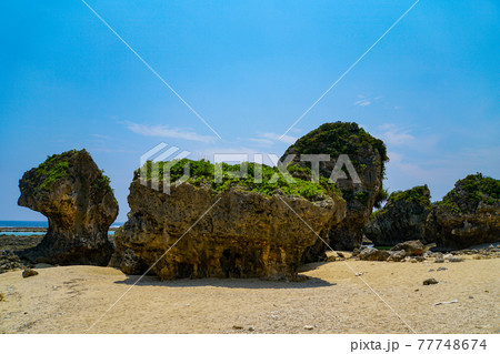 沖縄　具志頭ボルダー 77748674