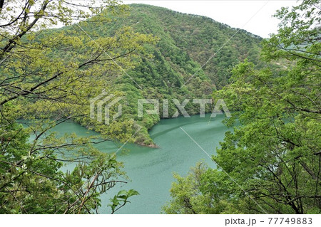 新潟県 三面ダム ダム湖 新潟県 三面ダム ダム湖 77749883