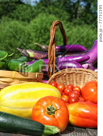 Fresh Summer Vegetable Harvest Fresh Organic Food Concept 77751595