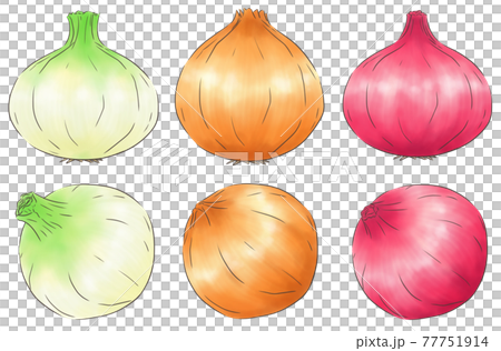 たまねぎ似顔絵 たまねぎ3種・線1色のイラスト素材 [77751914] - PIXTA