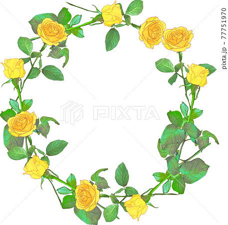 黄色いバラのサークル 77751970