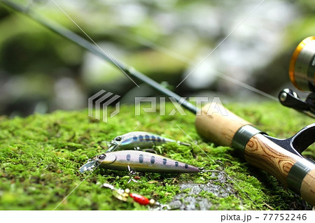 渓流ルアー釣りと清流の緑のイメージの写真素材