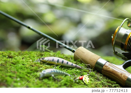 渓流ルアー釣りと清流の緑のイメージ 77752413