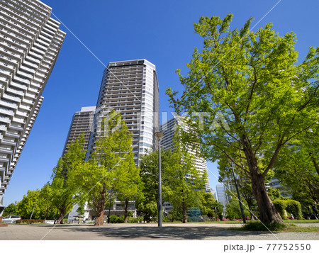 高島中央公園　神奈川県横浜市西区 77752550