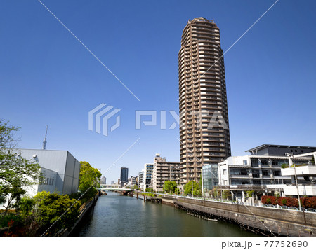 横十間川　猿江恩賜公園付近　東京都江東区 77752690