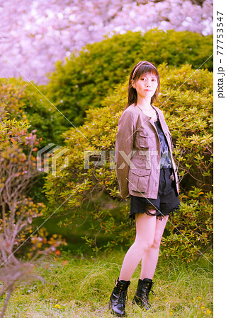 散り始めの桜を背景に女性ポートレート 77753547