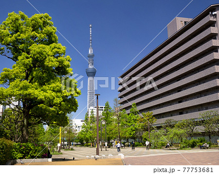 大横川親水公園　東京都墨田区 77753681