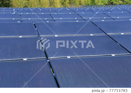 太陽光パネル 77753765