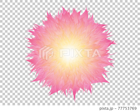 花圖煙花大花 花圖煙花大花 77753769