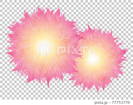 花圖煙花大花 花圖煙花大花 77753770