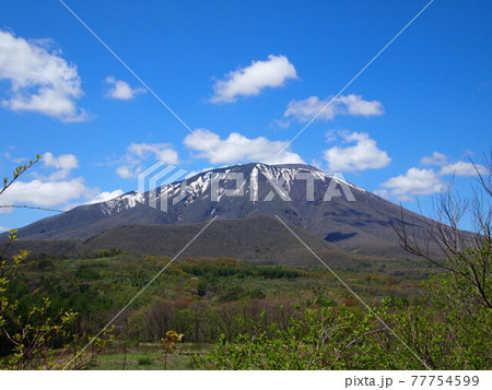 初夏の春小谷地峠 77754599