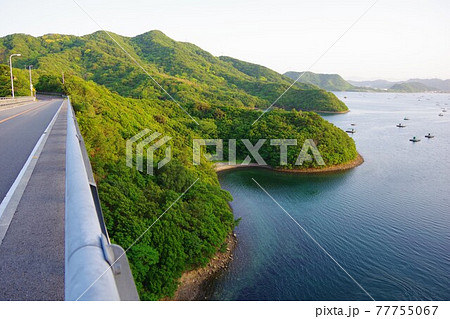 徳島県鳴門市 堀越橋と大毛島とウチノ海 徳島県鳴門市 堀越橋と大毛島とウチノ海 77755067