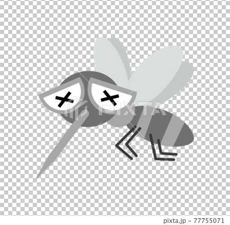 被削弱的蚊子的插圖圖像 77755071