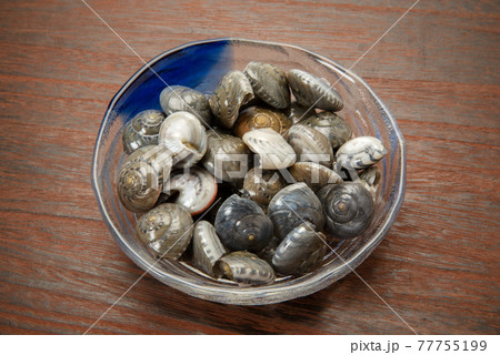 ながらみ貝の塩茹で ながらみ貝の塩茹で 77755199