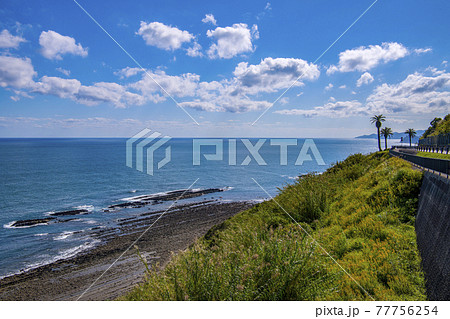 宮崎県青島 77756254