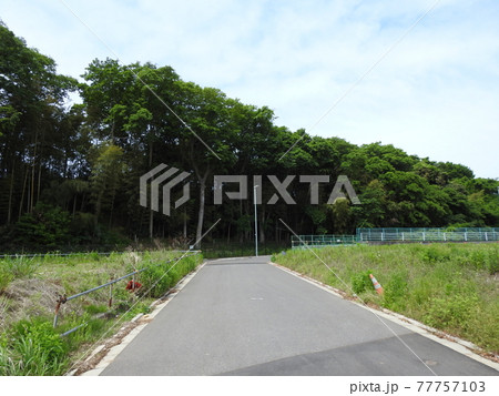 散歩道!。。気が休まる風景です!。。(笑い)。。 散歩道!。。気が休まる風景です!。。(笑い)。。 77757103