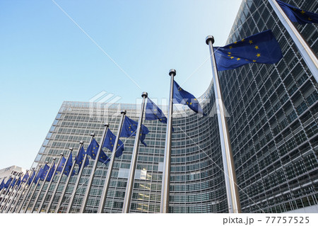 EU Flags near The European Parliament, Brussels, Belgium - 02 Mar 2011 EU Flags near The European Parliament, Brussels, Belgium - 02 Mar 2011 77757525