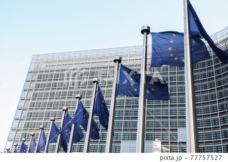 EU Flags near The European Parliament, Brussels, Belgium - 02 Mar 2011 EU Flags near The European Parliament, Brussels, Belgium - 02 Mar 2011 77757527