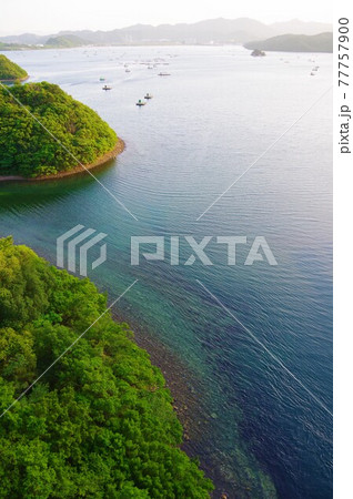 徳島県鳴門市　堀越橋から大毛島とウチノ海に浮か釣り筏を望む 77757900