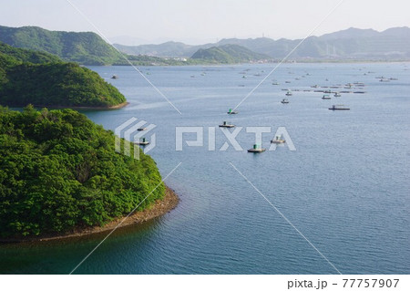 徳島県鳴門市　堀越橋から大毛島とウチノ海に浮か釣り筏を望む 77757907