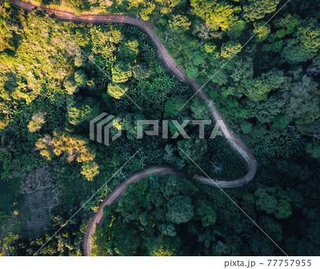Road through a valley from above 77757955