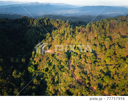 Road through a valley from above 77757956