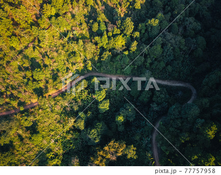 Road through a valley from above 77757958
